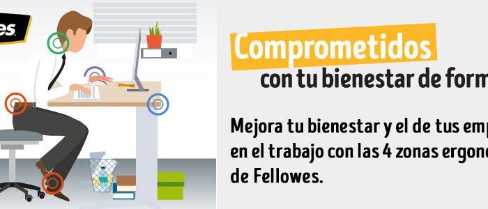 Ergonomía en el Puesto de Trabajo: El Coste de Ignorarla y las Soluciones Fellowes en Jeyjo