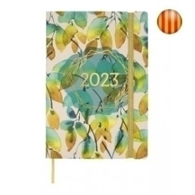 COMPRAR AG.F.CAT. DYNAMIC CASUAL Y10 D/P CALIP