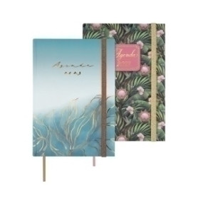 COMPRAR AG.F. DYNAMIC BERLIN Y10 D/P SURT.4