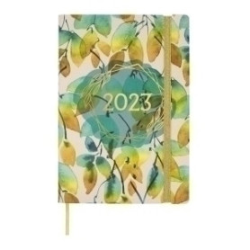 COMPRAR AG.F. DYNAMIC CASUAL Y10 D/P CALIP