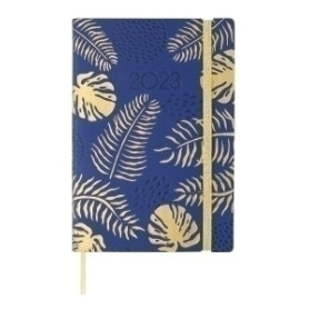 COMPRAR AG.F. DYNAMIC CASUAL Y10 D/P WILD