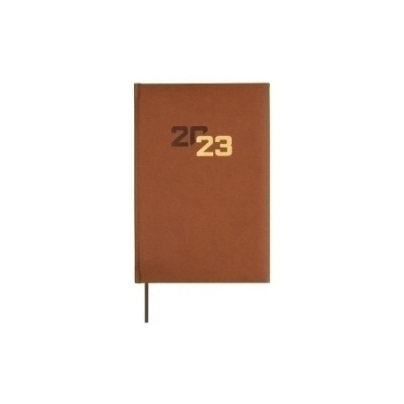 625164023 AG.F. DYNAMIC MILANO Y10 D/P MARRON