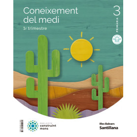 3PRI CONO DEL MEDIO CM BALE ED22  JEYJO