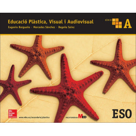 val 15 mosaic a 1r eso  educació plástica i visual  JEYJO