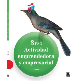 Actividad emprendedora empresarial 3ºeso  JEYJO