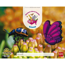 PROYECTO EXPLORA: BICHOS 4 AÑOS 3º TRIMESTRE 2017  JEYJO