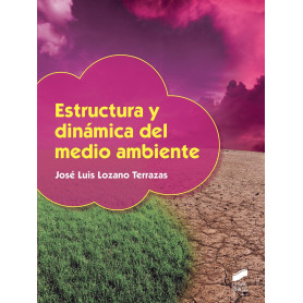 ESTRUCTURA Y DINÁMICA DEL MEDIO AMBIENTE  JEYJO