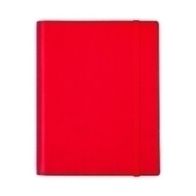 COMPRAR AG.F. DUO DUOBAND E10 D/P ROJO