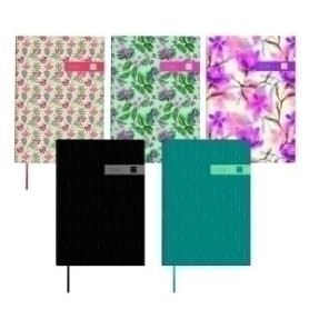 COMPRAR AG.F.CAT. DYNAMIC PORTO Y10 S/V ASSOR.6