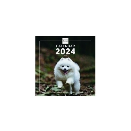 781225224 CAL.FIN. INT. PARED 300x300 DOGS