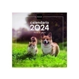 COMPRAR CAL.FIN. PARED 300x300 PERROS Y GATOS