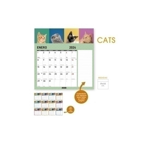 500214 (SD) CAL.SENF. PARED MES CATS 310x320
