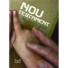 (CAT).NOU TESTAMENT:EN LA LLETRA GRAN  JEYJO