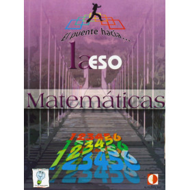 Matematicas 1ºESO El puente hacia  JEYJO