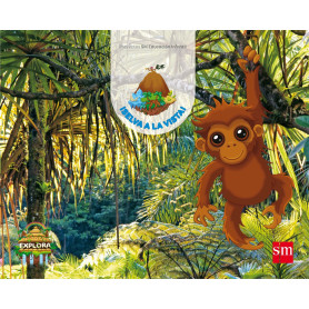 PROYECTO EXPLORA: SELVA A LA VISTA 4 AÑOS 2º TRIMESTRE 2017  JEYJO