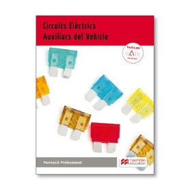CIRCUITS ELECTRICS AUXILIARS VEHICULE GRAU MITJA  JEYJO