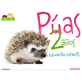 PROYECTO PÚAS 2 AÑOS  JEYJO