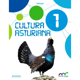 CULTURA ASTURIANA 1ºPRIMARIA  JEYJO