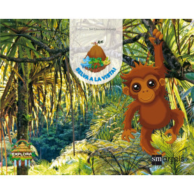 Selva a la vista 4 anys 2º trimestre Projecte Explora 2017  JEYJO