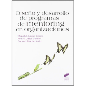 DISEÑO Y DESARROLLO PROGRAMAS MENTORING EN ORGANIZACIONES  JEYJO