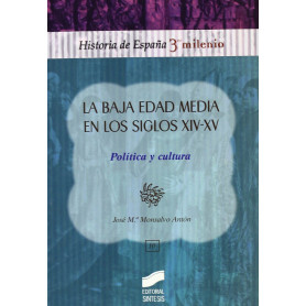 BAJA EDAD MEDIA EN LOS S. XIV-XV. POLITICA Y SOCIEDAD  JEYJO