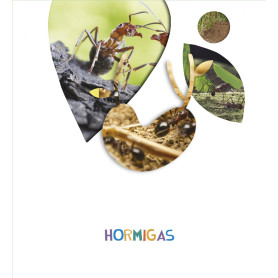 HORMIGAS 5 AÑOS 2018  JEYJO