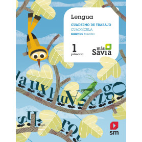 CUADERNO LENGUA 2-1ºPRIMARIA. CUADRÍCULA. MÁS SAVIA  JEYJO