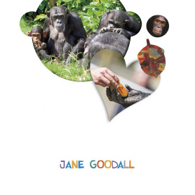 JANE GOODALL 4 AÑOS. PROYECTOS ¿LO VES?  JEYJO