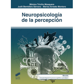 NEUROPSICOLOGÍA DE LA PERCEPCIÓN 2019  JEYJO