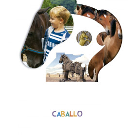CABALLO 4 AÑOS 2019  JEYJO