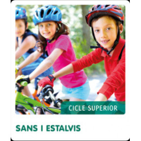 SANS I ESTALVIS. FEM-HO PER PROJECTES 2019  JEYJO