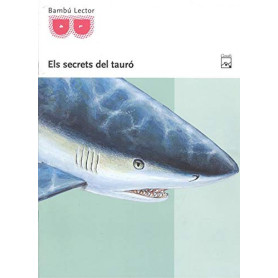 QUADERN D´ACTIVITATS SECRETS DEL TAURÓ  JEYJO