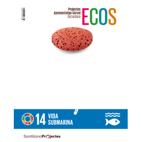 QUAD ACCION VIDA SUBMARINA ECOS CAT ED21  JEYJO