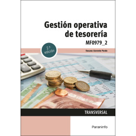 Gestión operativa de tesorería  JEYJO