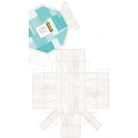 CASTORIA 5 AÑOS INTEGRADO 2022  JEYJO