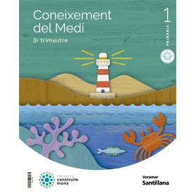 CONEIXEMENT DEL MEDI 1R.PRIMARIA. CONSTRUINT MONS. VALENCIA 2022  JEYJO