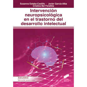 INTERVENCION NEUROPSICOLOGICA EN TRASTORNO DE DESARROLLO INTELECTUAL  JEYJO