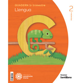 QUADERN LLENGUA 1-2N.PRIMARIA. CONSTRUINT MONS. VALENCIA 2023  JEYJO