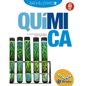Química 2 Bachillerato Nueva etapa Bruño  JEYJO