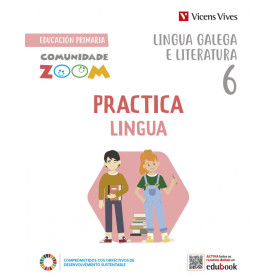 PRACTICALINGUA 6 ACT (COMUNIDADE ZOOM)  JEYJO
