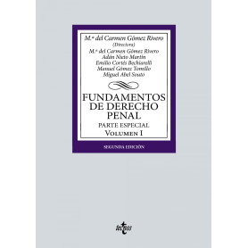 Fundamentos derecho penal  JEYJO