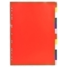 COMPRAR SEPARADORES EXACOMPTA PP FLEX. A4 12 ps.