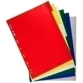 COMPRAR SEPARADORES EXACOMPTA PP FLEX. A4 6 ps.