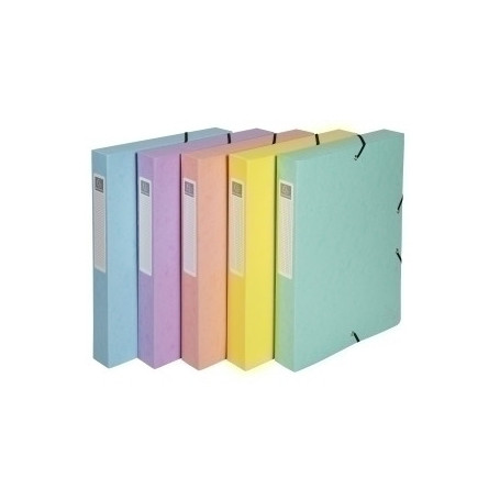 COMPRAR CARP.PROY.EXACOMPTA CARTON A4 2.5 cm SUR