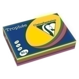 COMPRAR PAPEL COLOR A4 TROPHEE 80g 500h SURT.VIV