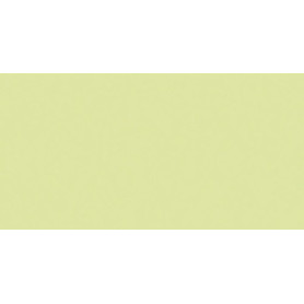 COMPRAR PAPEL COLOR A4 IRIS 80g 100h VERDE MANZ.