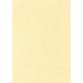 COMPRAR PAPEL PERGAMINO A4 APLI 95g 100h CHAMPAN