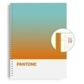 COMPRAR BLOC ESCOL.PANTONE A4 TOGET. 80h 5x5 CG