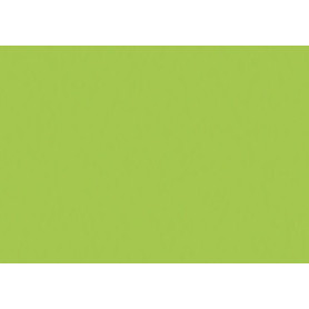 COMPRAR CARTULINA FLUOR A3 IRIS VERDE P/50