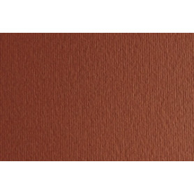 COMPRAR CARTULINA 50x70 FABRI. 220g LR TERRA BRU